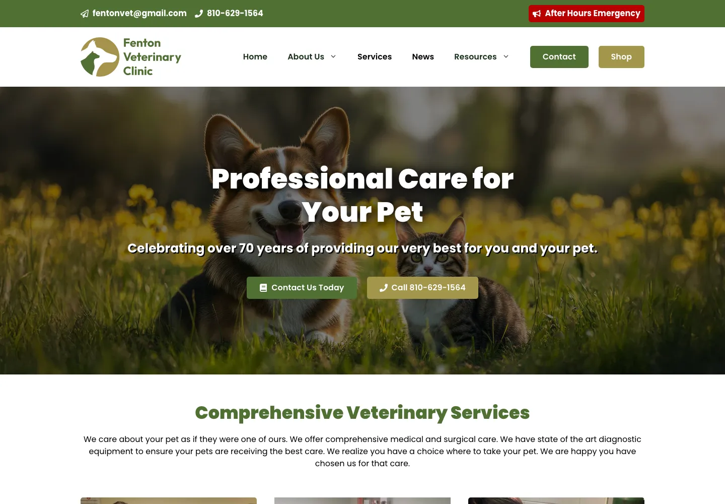 Screenshot of the Fenton Veterinary Clinic project